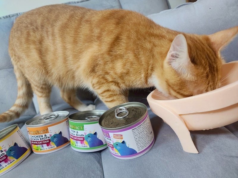 女人知己試用大隊,口碑行銷,部落客行銷,PURRFACT 波菲特貓用主食罐,主食罐,PURRFACT波菲特,貓主食罐,貓罐,PURRFACT波菲特貓用主食罐,魚肉蔓越莓主食罐,鮮嫩雞主食罐,鹿肉雞肉主食罐,牛肉鵪鶉貓主食罐,干貝蠶蛹配方,鱷魚肉白木耳配方,雞肉魚肉配方,安心鶉配方,評價,體驗,適口性佳,心得,成貓適用,高齡貓適用,質地是慕絲狀